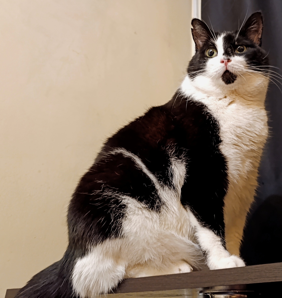 Геральт, мужчина в самом расцвете сил