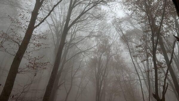    © РИА Новости Крым