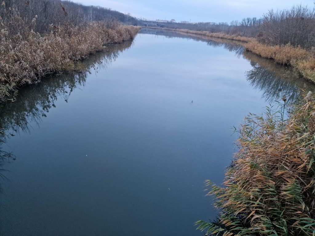   Фото: Е. Богачева. Галина Ященко