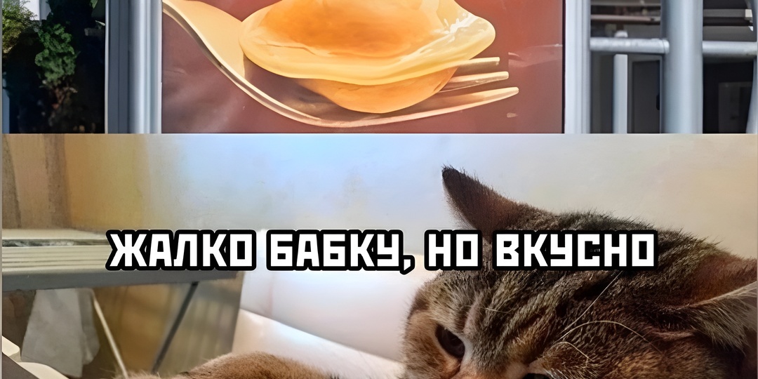 15 смешных картинок с надписями для поднятия настроения. Мы с семьёй против передержки