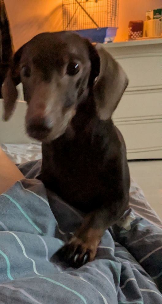 Само очарование с добрыми глазами)