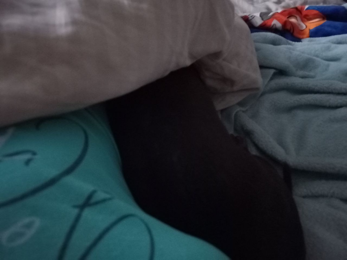 так и спал у меня под боком)