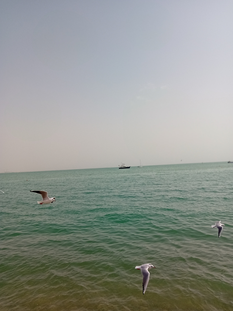 Авторское фото.