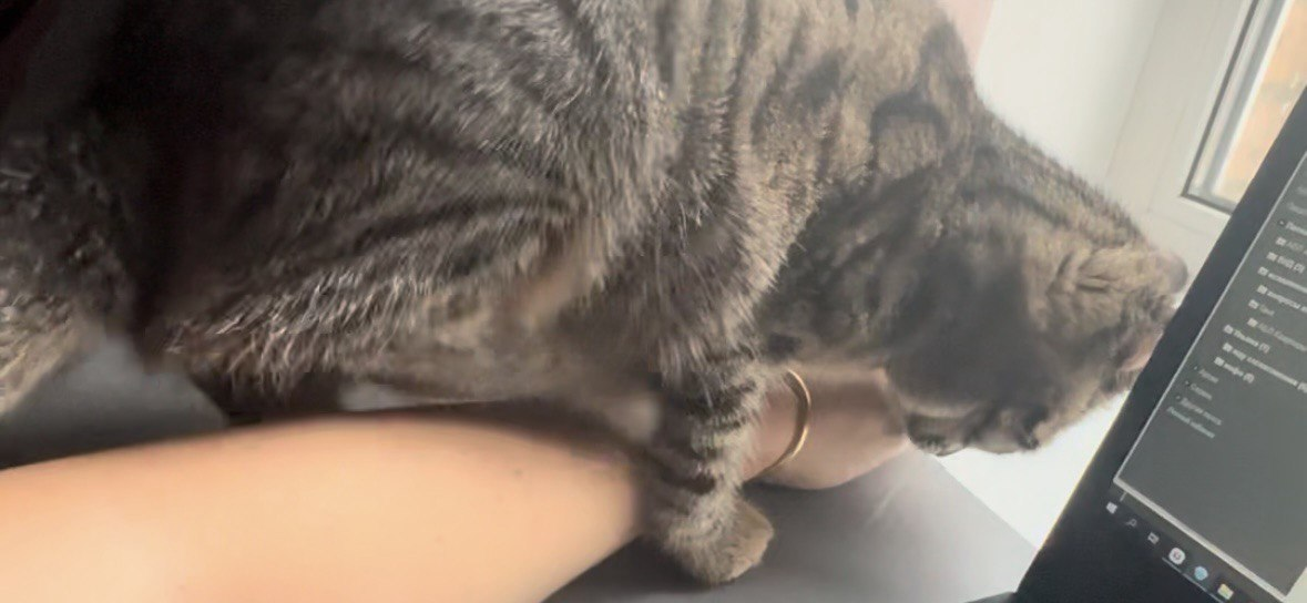 Я и мамина рука