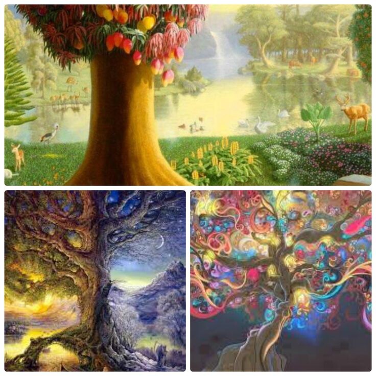 Древо познания - символ 4-го лунного дня