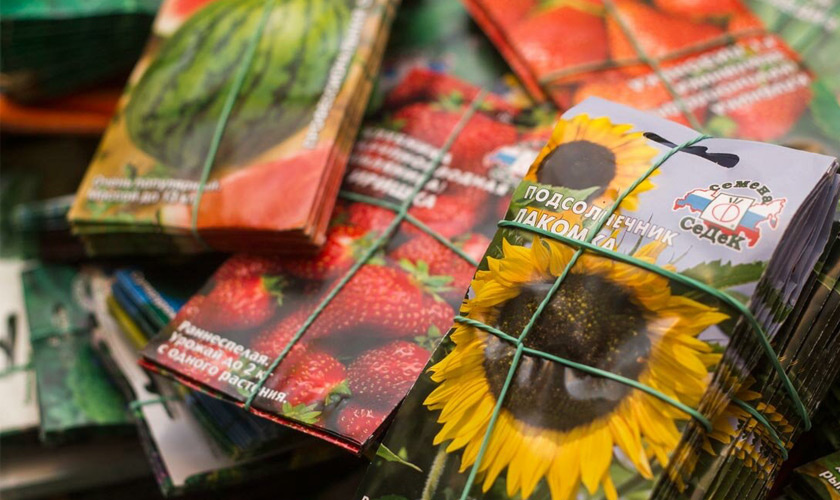 Деньги на ветер: 7 хитрых надписей на пакетиках с семенами, после которых урожая можно не ждать