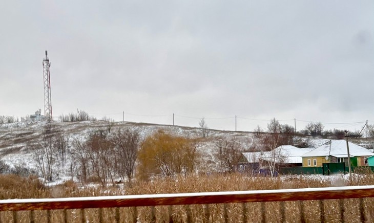    природа Алексеева Наталья