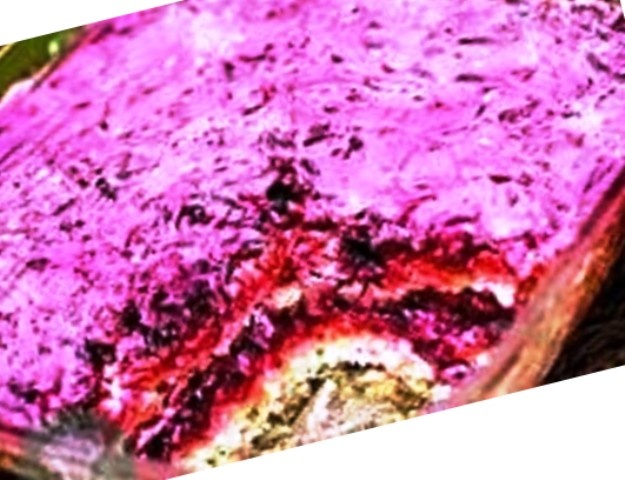 "Разрез салата "Сельдь под шубой, покрытого  глазурью". Иллюстрацию из интернета редактировала Татьяна Федотова.