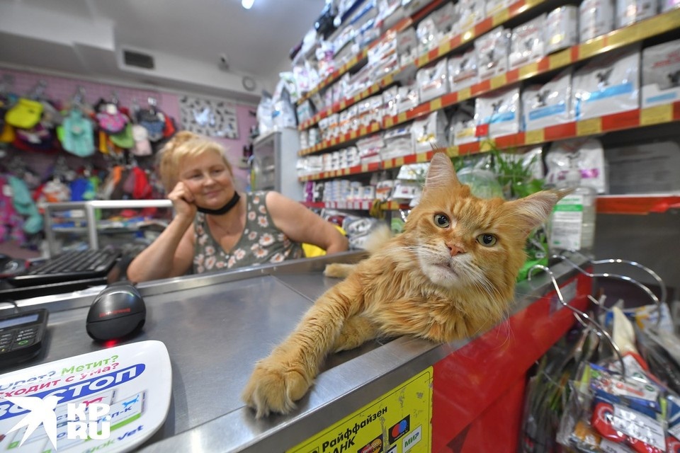   Иван МАКЕЕВ