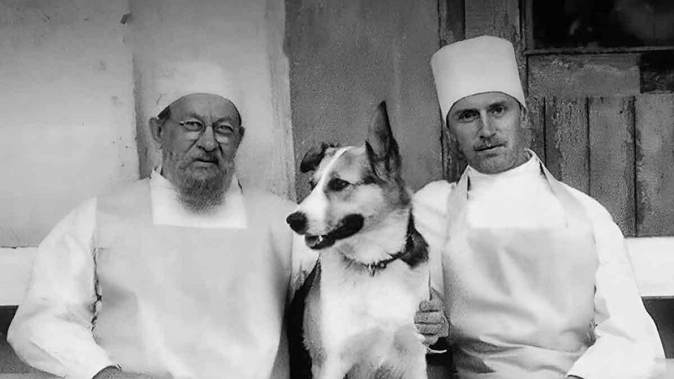 Сто лет «Собачьему сердцу»: Булгаков зашифровал в своей повести «эпоху сведения счетов»