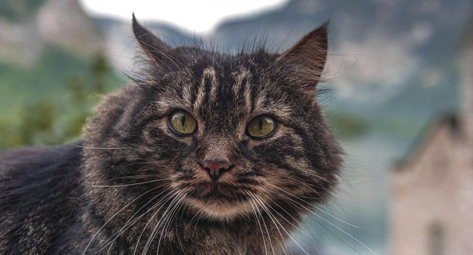    Moritz Wolf/http://imagebroker.com/#/search / www.globallookpress.com