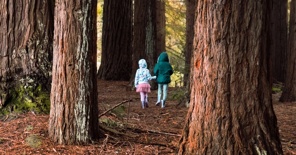 Фото: zhanav | Shutterstock | Fotodom