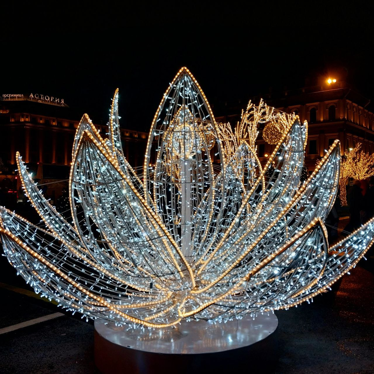 Фотография автора