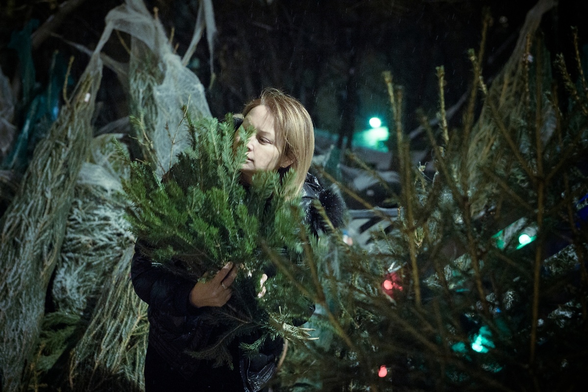    Покупатели приходят за новогодними деревьями до самого нового года, кто-то хочет успеть нарядить елку, кто-то предпочитает украсить дом ветвями / Источник: Наталия Ходыкина © ИА REGNUM