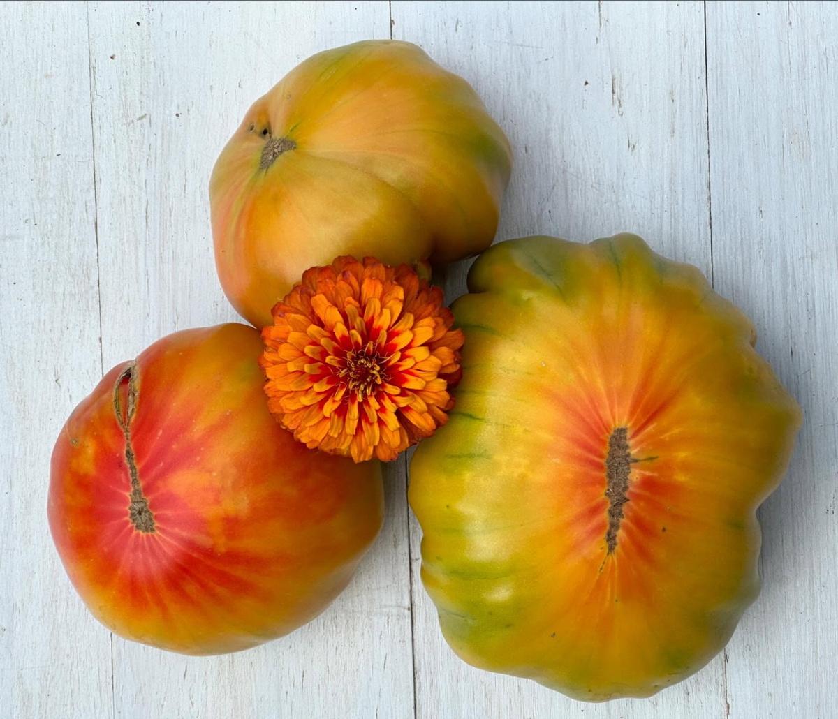 Томат Grandma Viney’s Yellow and Pink или Жёлто-розовый томат бабушки Виней