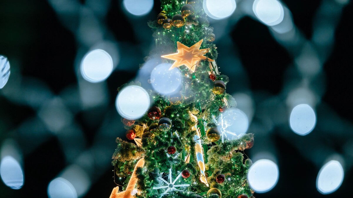    Фото: Федор Воронов / «Ямал-Медиа»