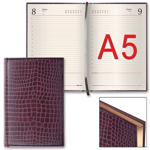 BRAUBERG Alligator А5