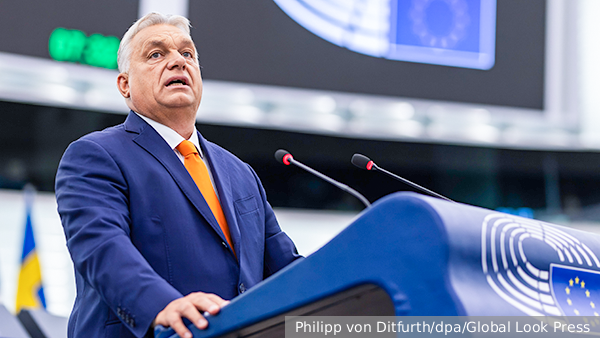     Фото: Philipp von Ditfurth/dpa/Global Look Press   
 Текст: Катерина Туманова