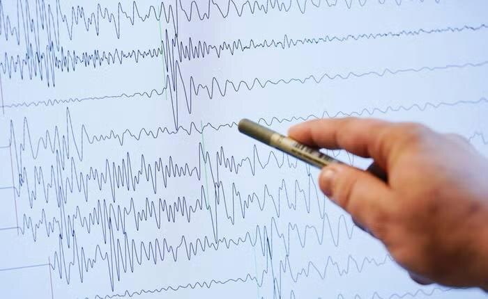 Фото КамГУ им. Витуса Беринга