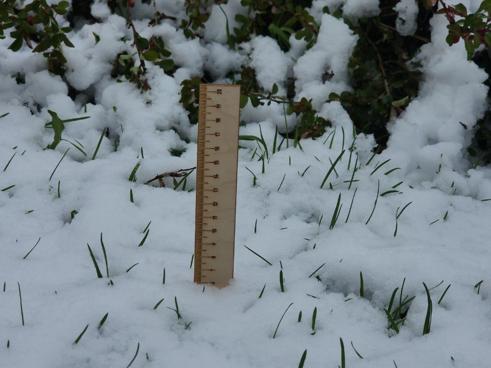    Фото: МедиаБанк Подмосковья/Роман Кутузов