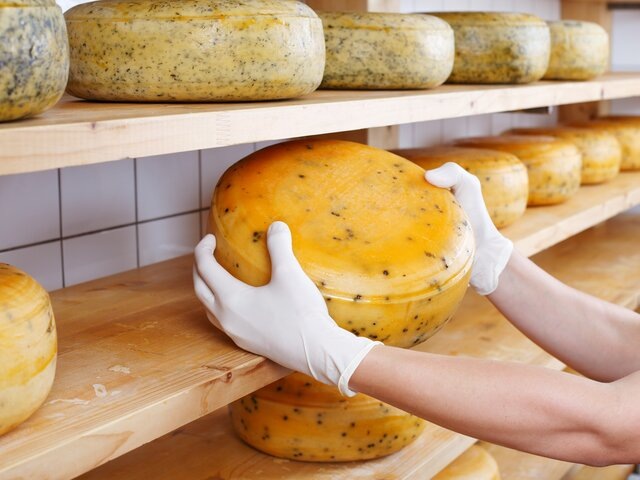    Фото: depositphotos/racorn