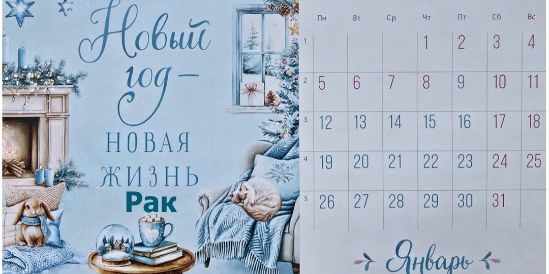 Рак январь 2026