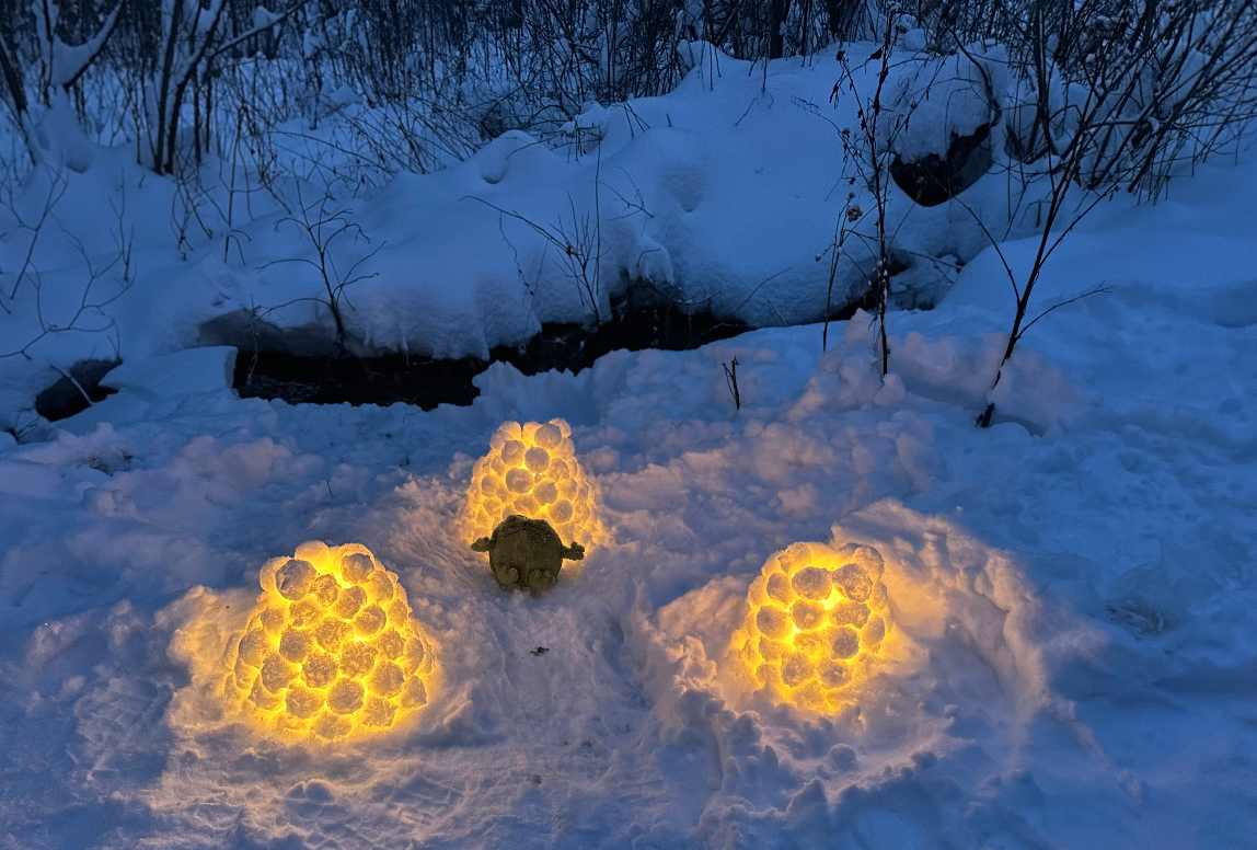    © Мария Носкова