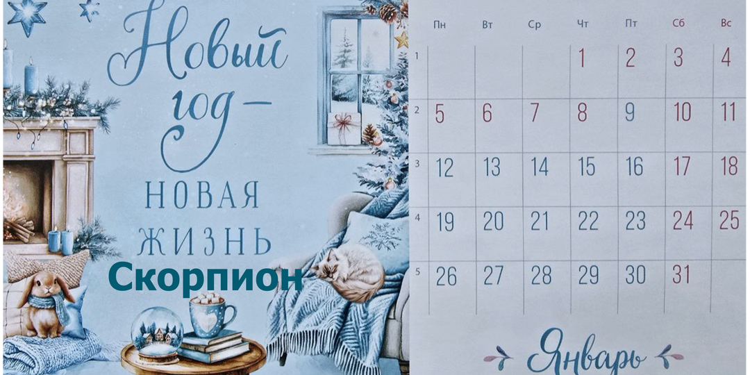 Скорпион январь 2026