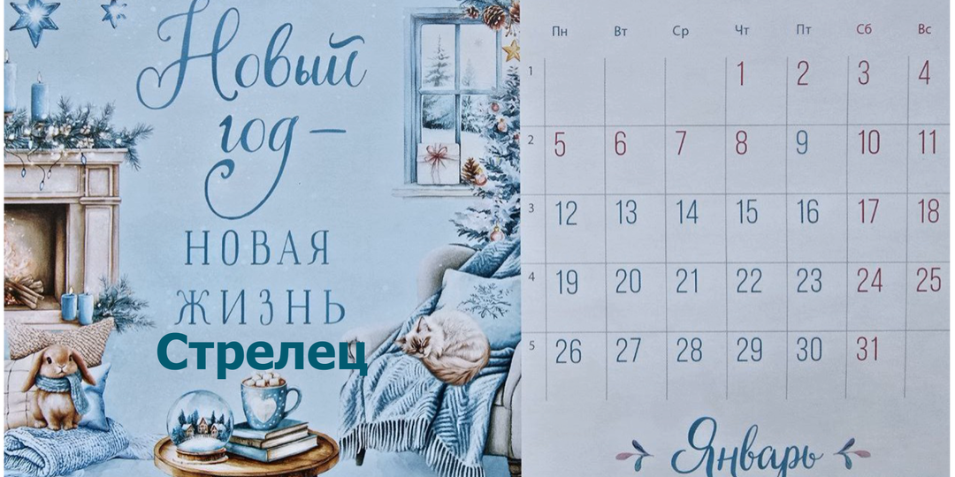 Стрелец январь 2026
