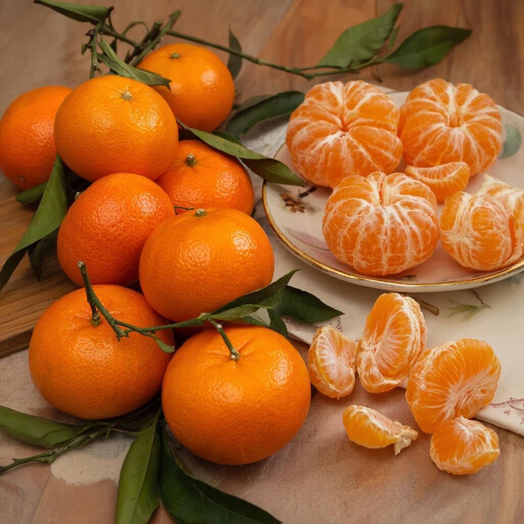 Изображение: GigaChat