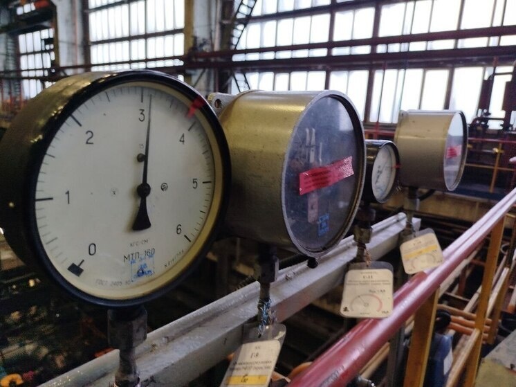     Фото: Александр Захаров / МК на Алтае