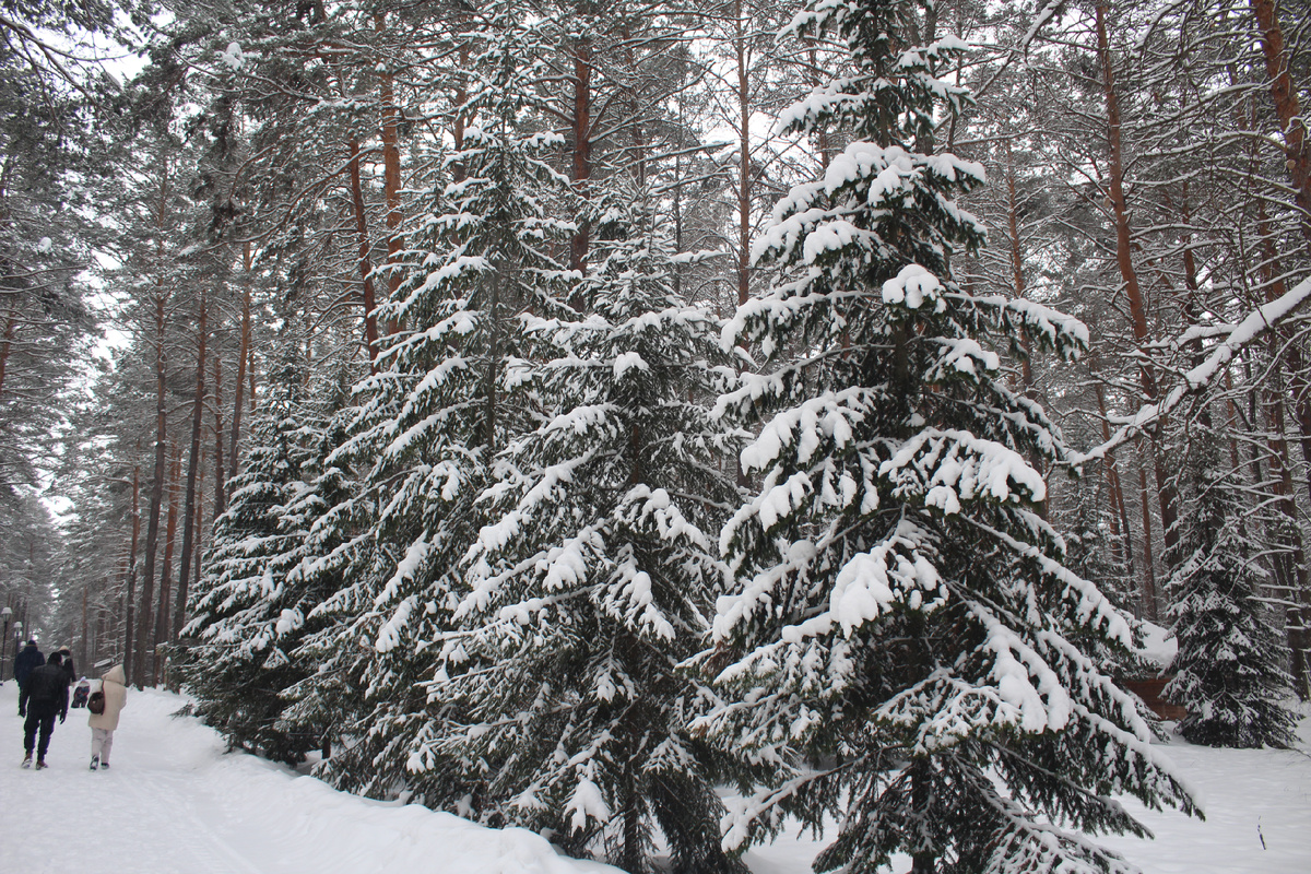 Томская писаница