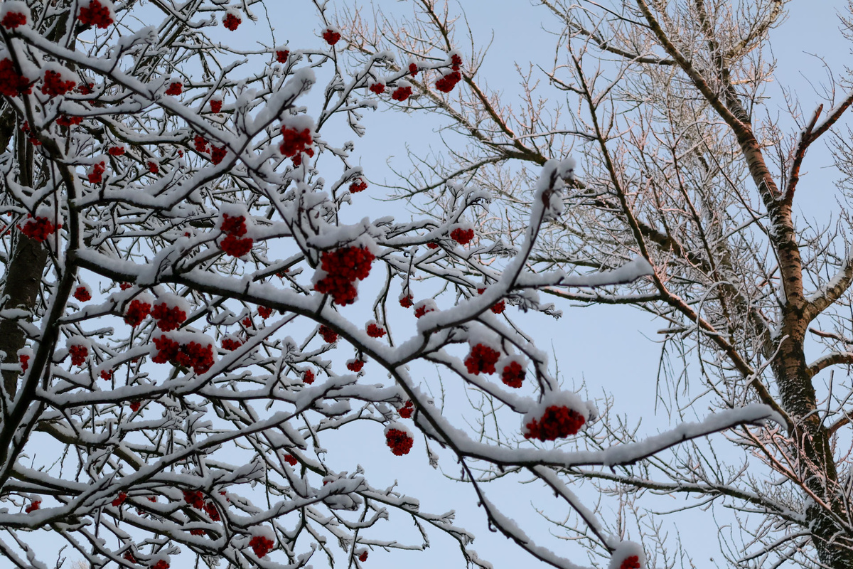 Циклон с юга осложнит обстановку в Приморье.  Фото: Фото: ФедералПресс / Вера Романескул