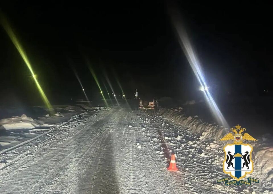    Смертельное ДТП под Новосибирском. Источник: МВД Новосибирской области