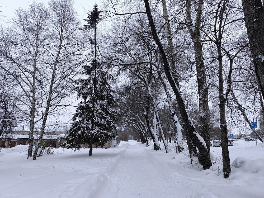    Снег обещают на неделе с 22 декабря. Фото Анны Зубаревой