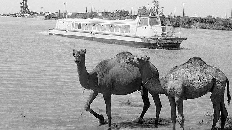     Большой Каракумский канал ежегодно забирает из Амударьи 13 куб. км воды