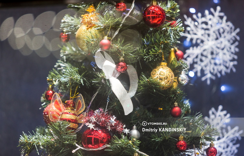    Фото: Дмитрий Кандинский / vtomske.ru