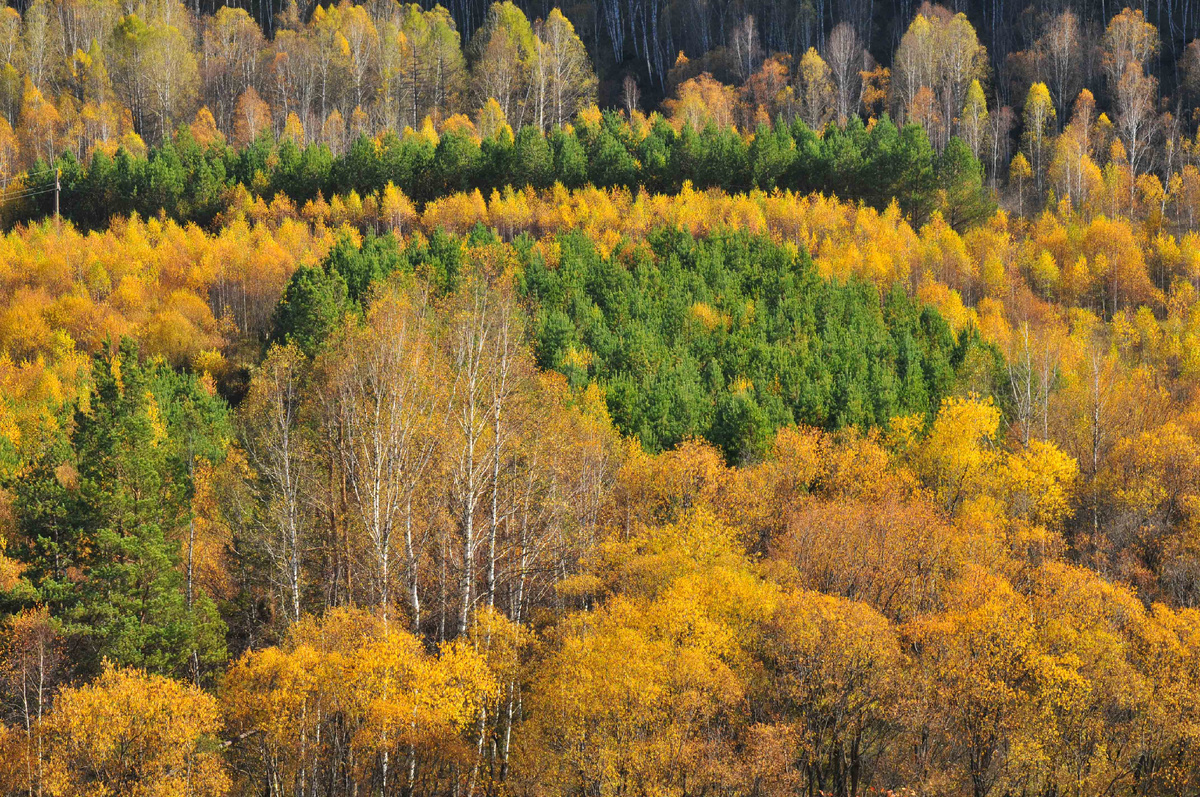 Фото Ольга Шадрина