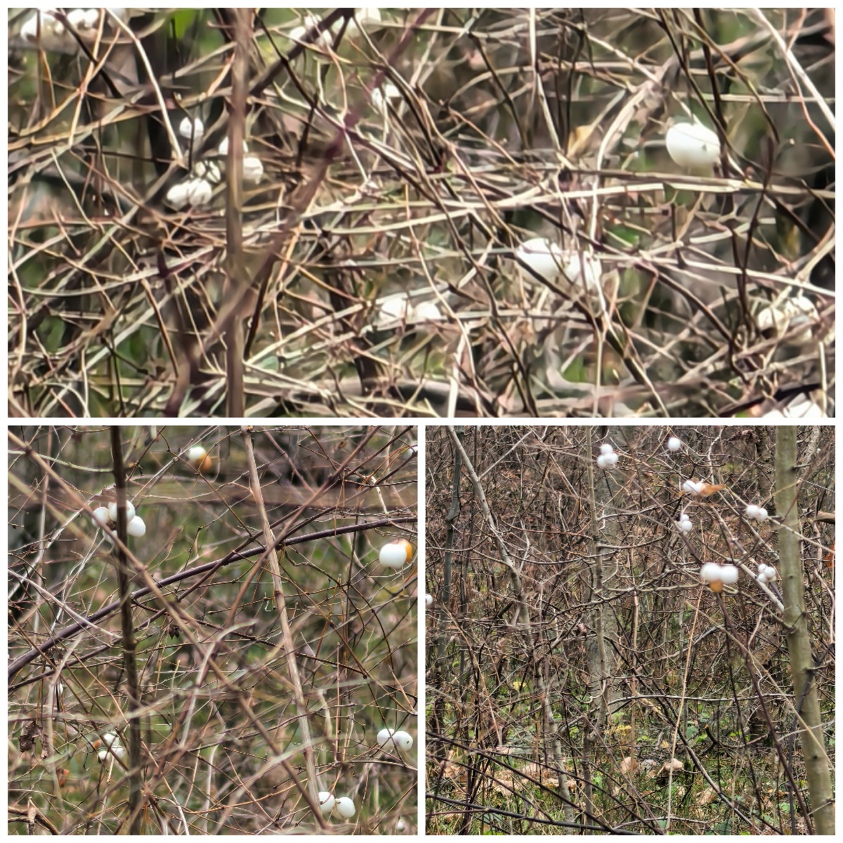 Фото Татьяны Смирновой