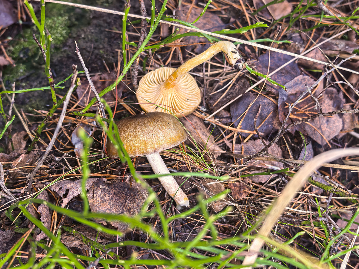 Фото Татьяны Смирновой