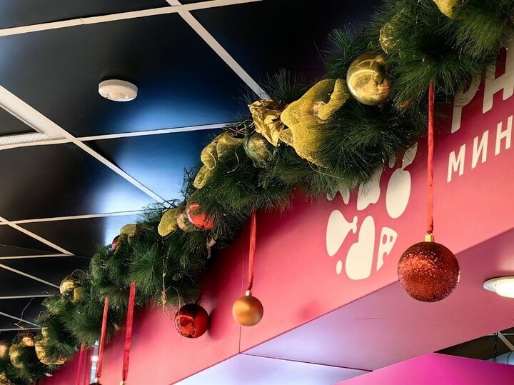     График работы магазинов 1 января 2026 хабаровск / Ольга Григорьева