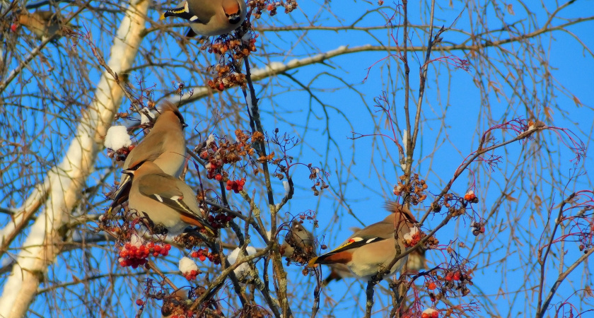    Автор фото Вячеслав Вольгин