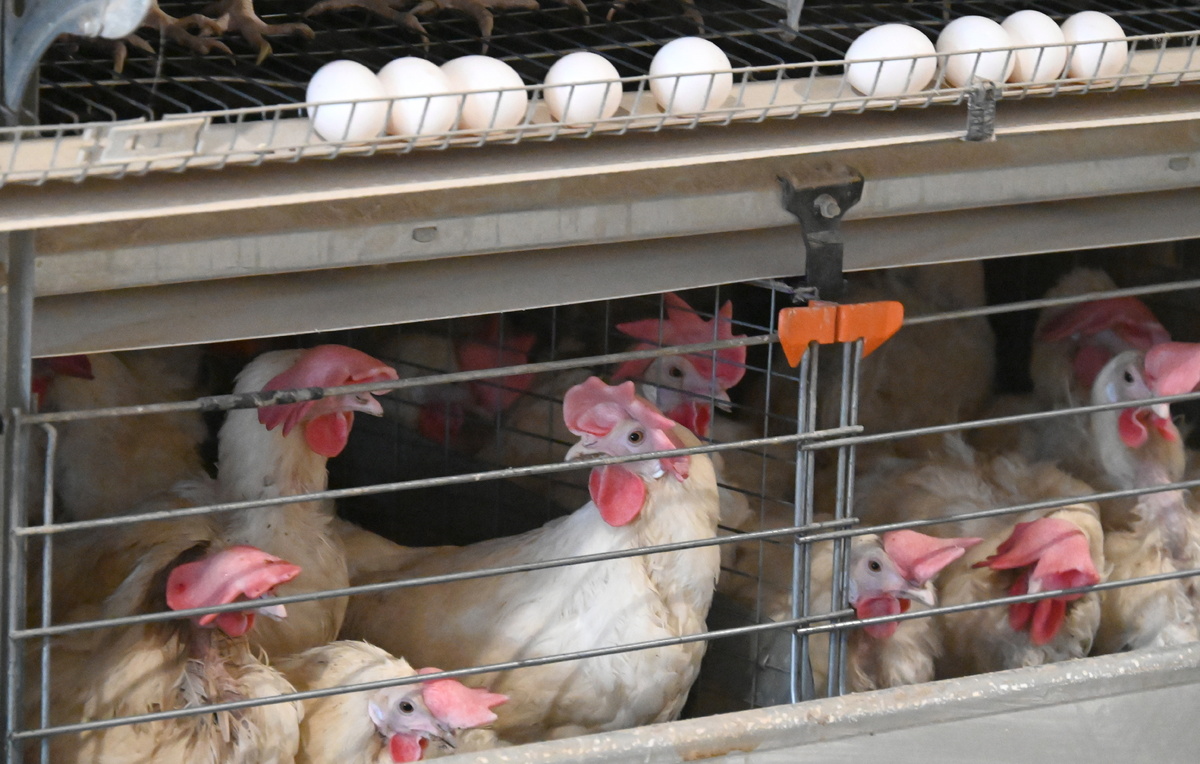 Евгений Епанчинцев/ТАСС