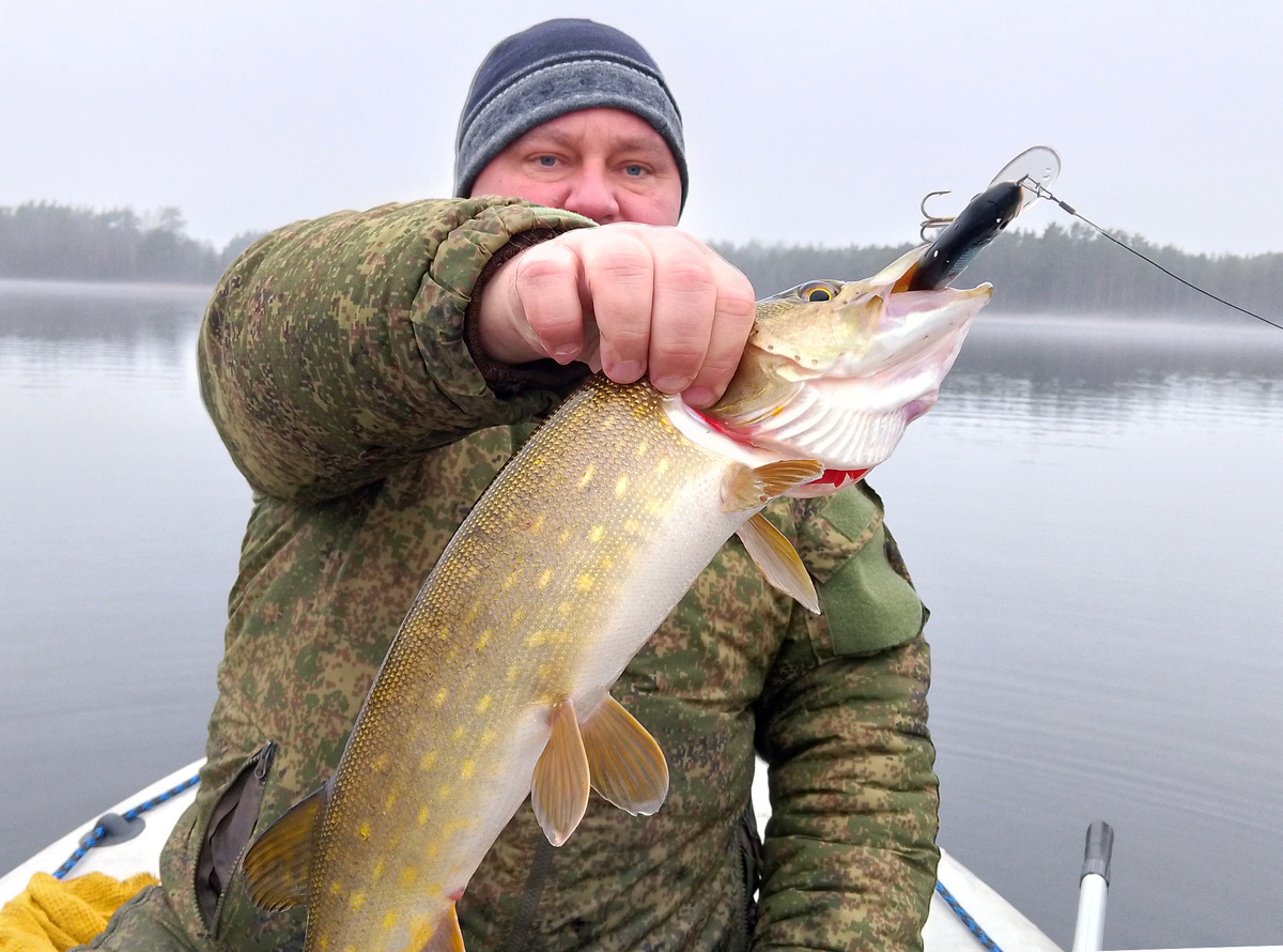Декабрь 2025 года. Щучий сезон в разгаре. Фото здесь и далее: Николай Бесклёвный