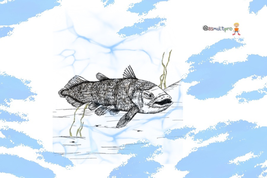 Обучающие истории от @asmultpro