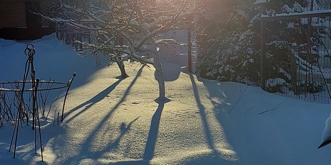 Декабрь (20-21.12.25)