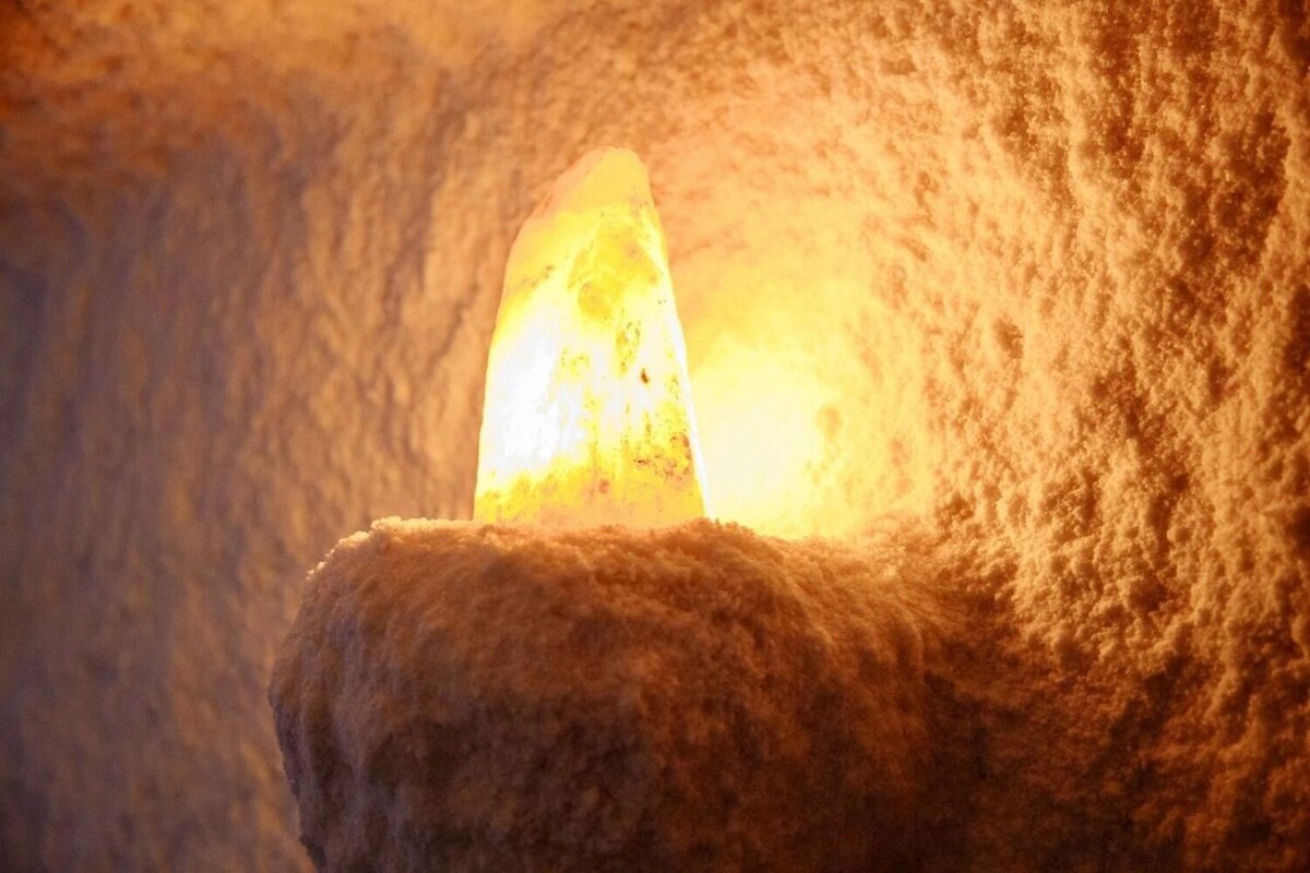   соцсети Александра Орла