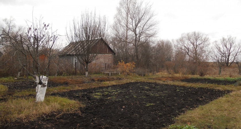    Фото Анастасии Дмитриевой