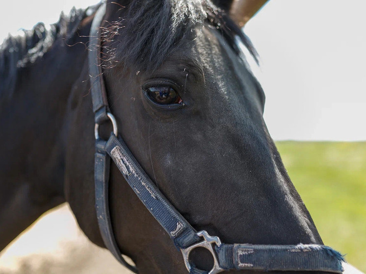     Фото: Сиб.фм