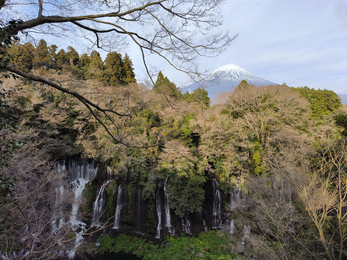 Фудзияма на фоне водопада Сираито